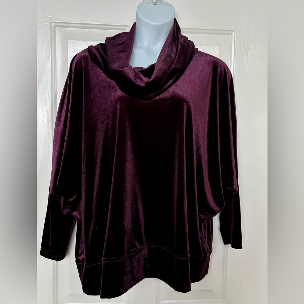 Marla Wynne Velour Purple Cowl Shirt 1X